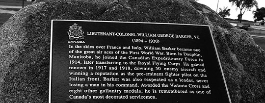 barker-plaque-dauphin